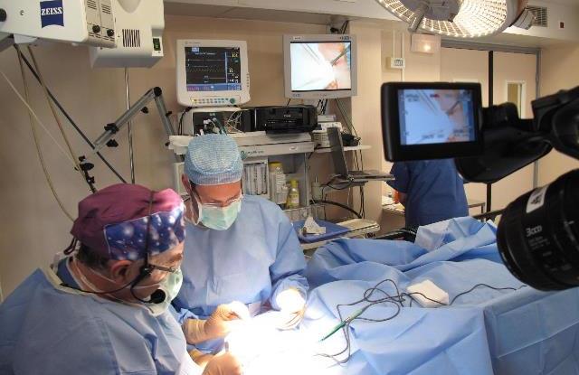 Chirurgia w klinice Geoffroy Saint Hilaire the surgery in the Clinic
